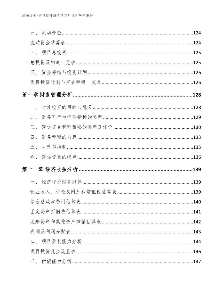 南京软件服务项目可行性研究报告_第5页