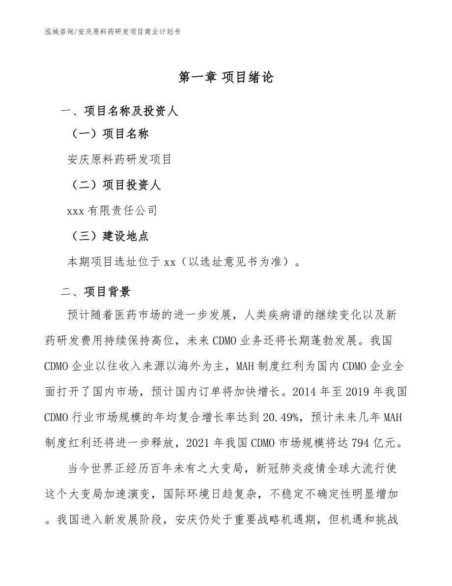 安庆原料药研发项目商业计划书_第5页
