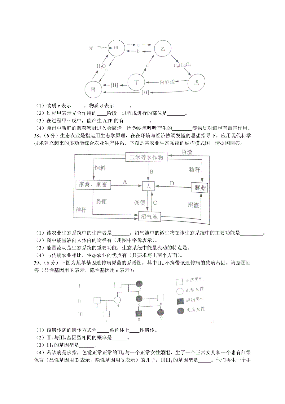 1103学业水平测试生物试题2_第5页