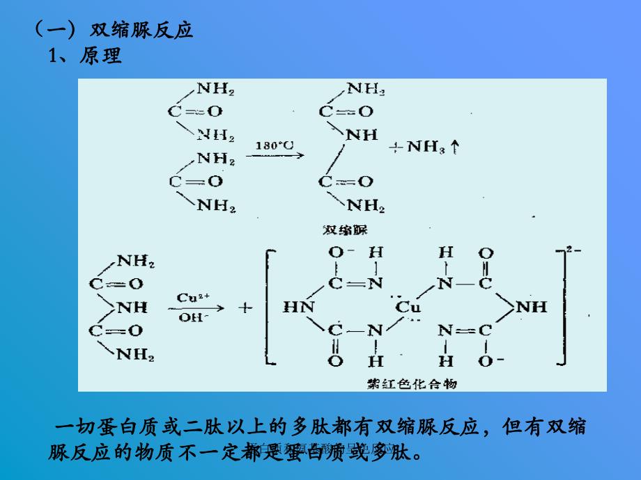 蛋白质和氨基酸的呈色反应课件_第3页