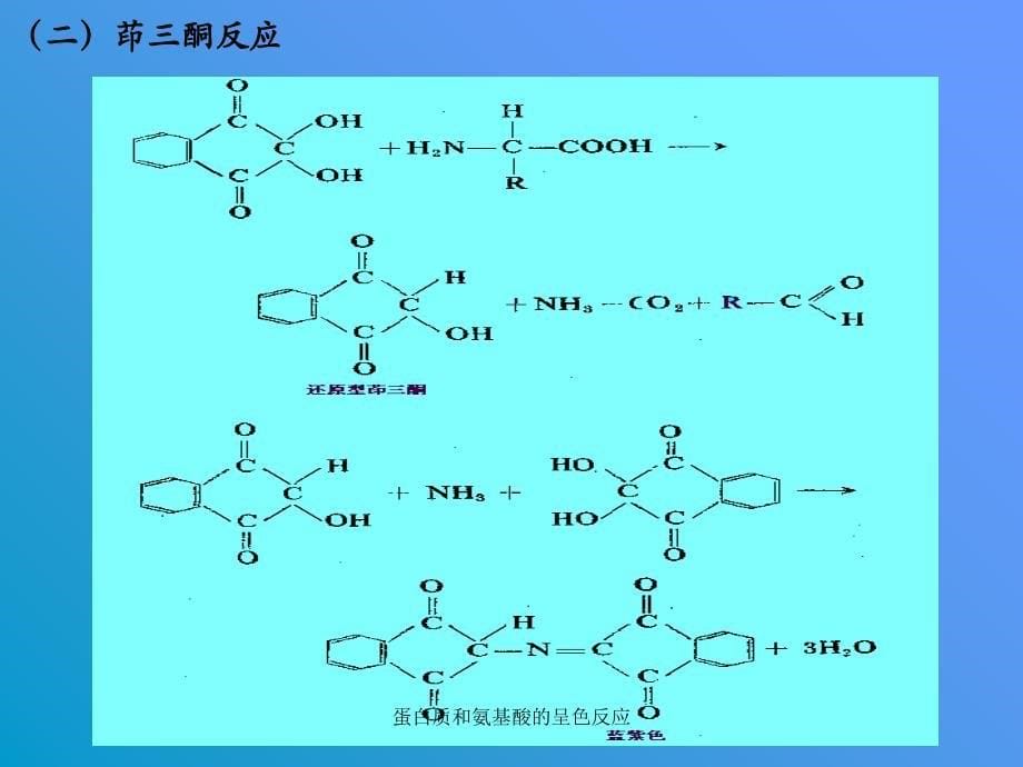 蛋白质和氨基酸的呈色反应课件_第5页