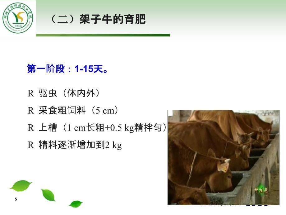 牛羊生产学11_第5页