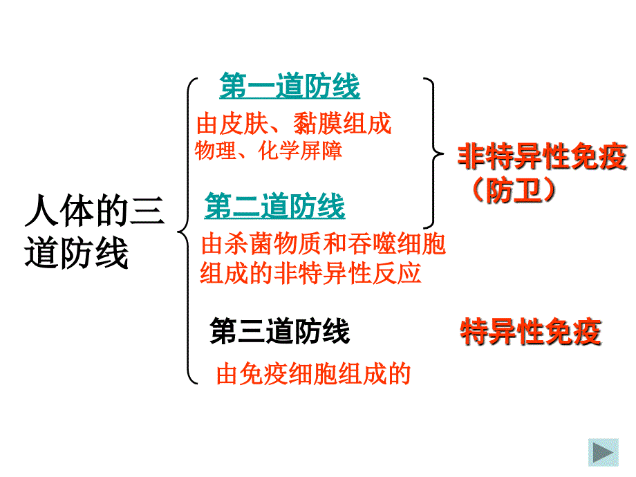 免疫系统与免疫功能.ppt_第3页