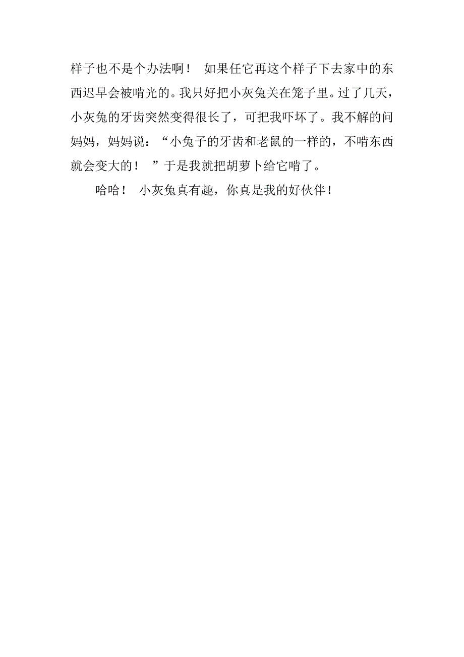 2023年观察兔子作文400字（全文完整）_第4页