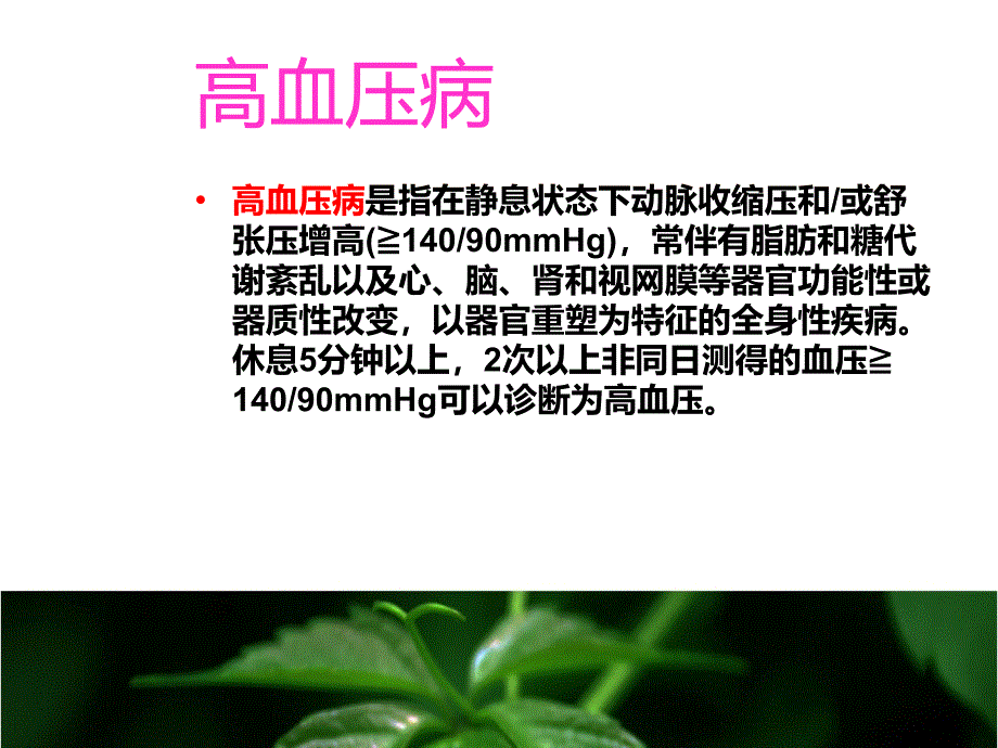 高血压饮食疗法_第2页