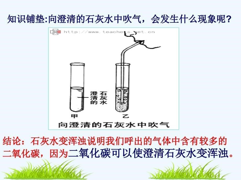 第三单元第五章第二节绿色植物的呼吸作用_第5页