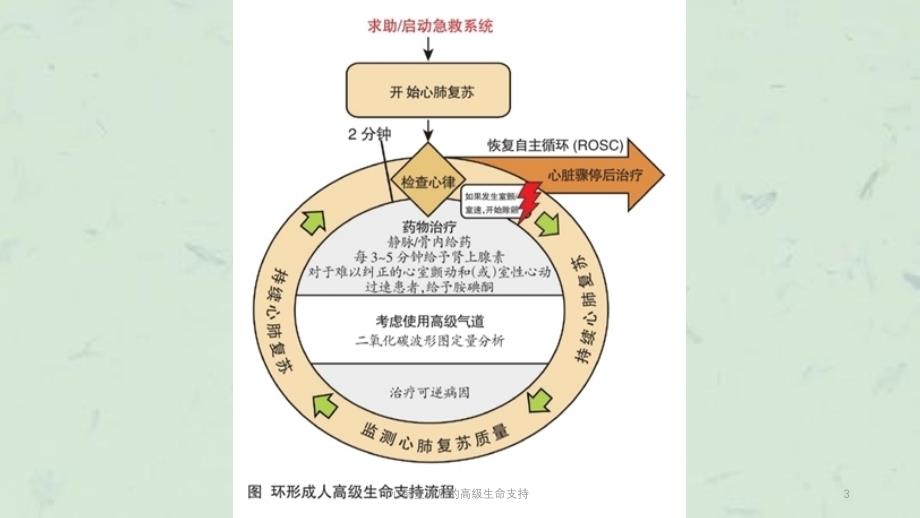 心肺复苏后的高级生命支持课件_第3页