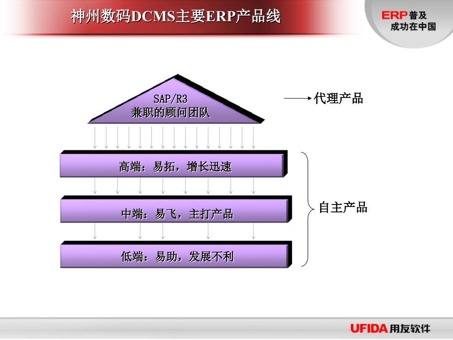 神州数码ERP竞争策略_第3页