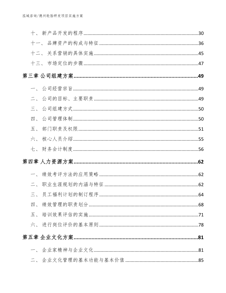 德州轮胎研发项目实施方案（范文）_第2页