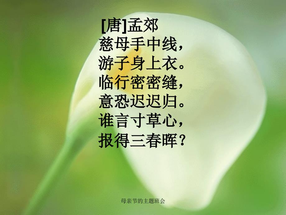 母亲节的主题班会课件_第4页