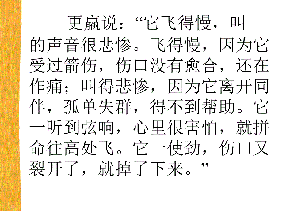 惊弓之鸟PPT课件_第5页