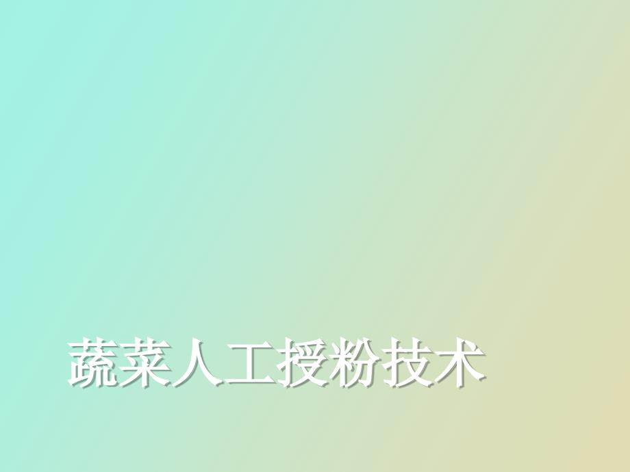 蔬菜人工授粉技术_第1页
