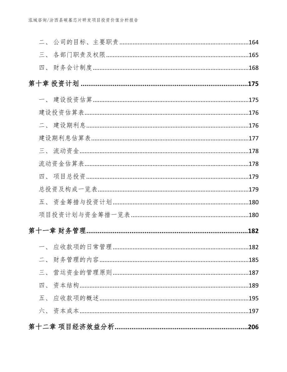 汾西县碳基芯片研发项目投资价值分析报告_第5页