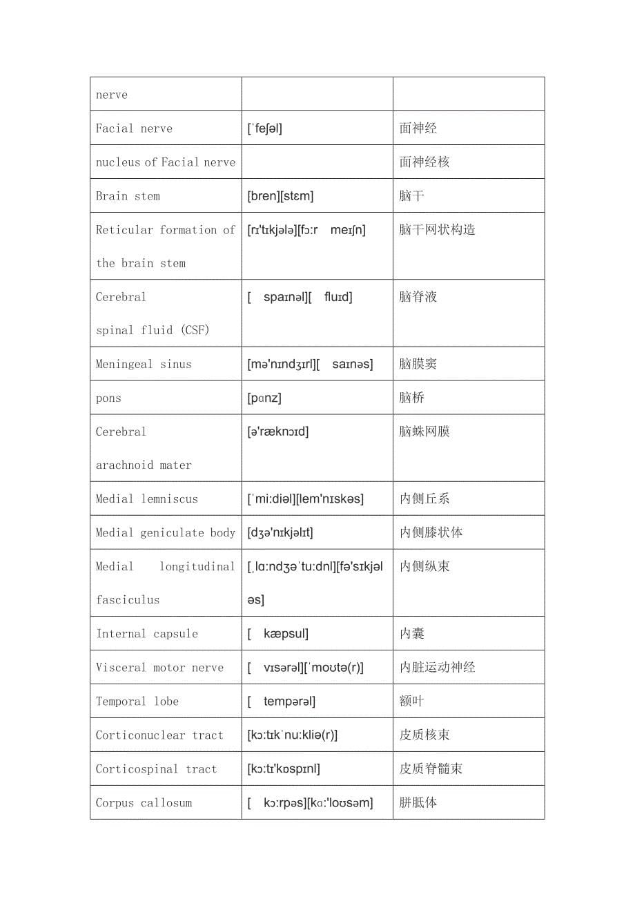 神经外科英文词汇_第5页