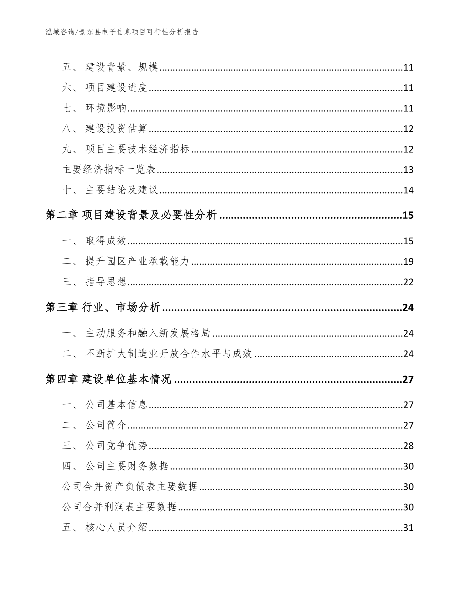 景东县电子信息项目可行性分析报告模板范本_第3页