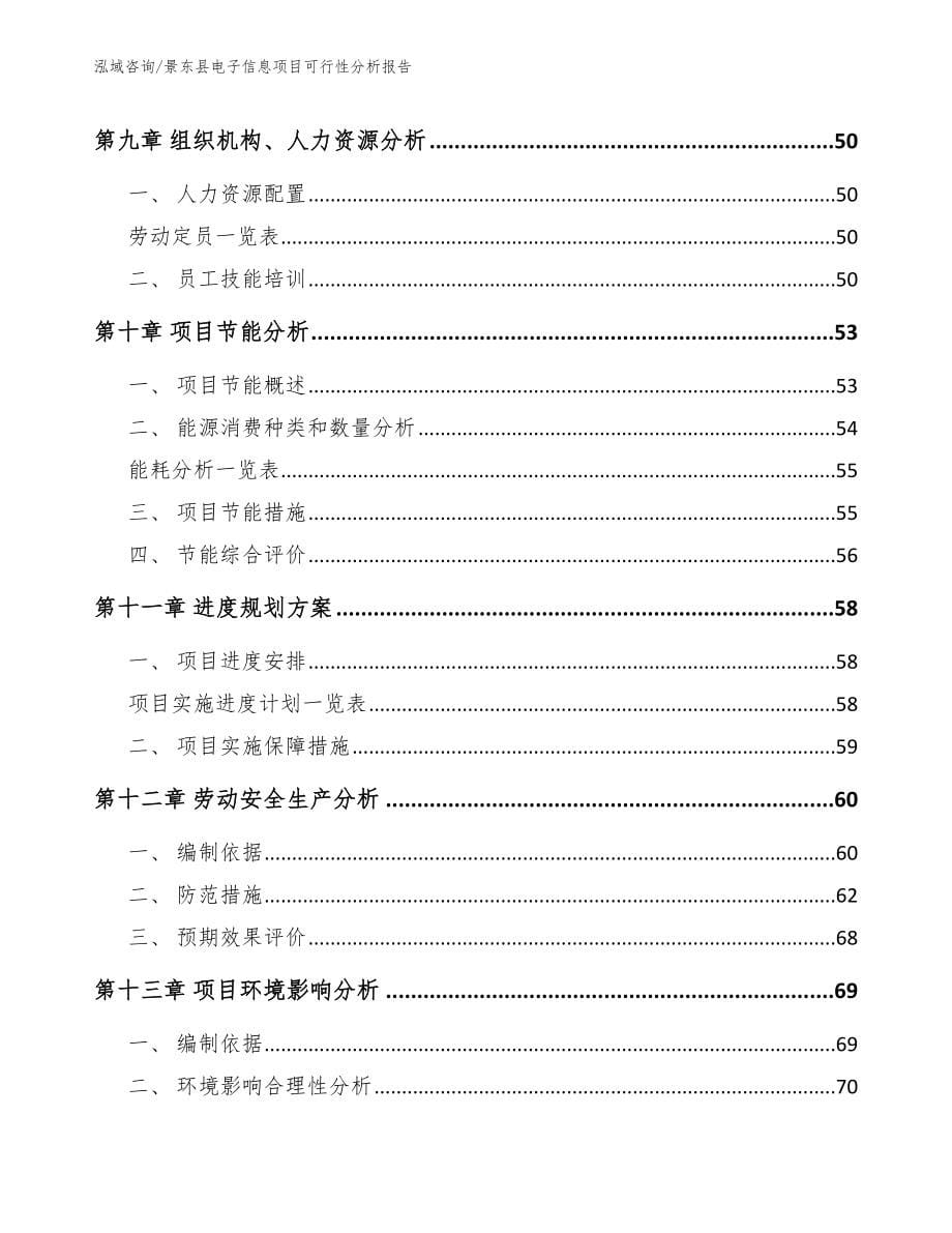 景东县电子信息项目可行性分析报告模板范本_第5页