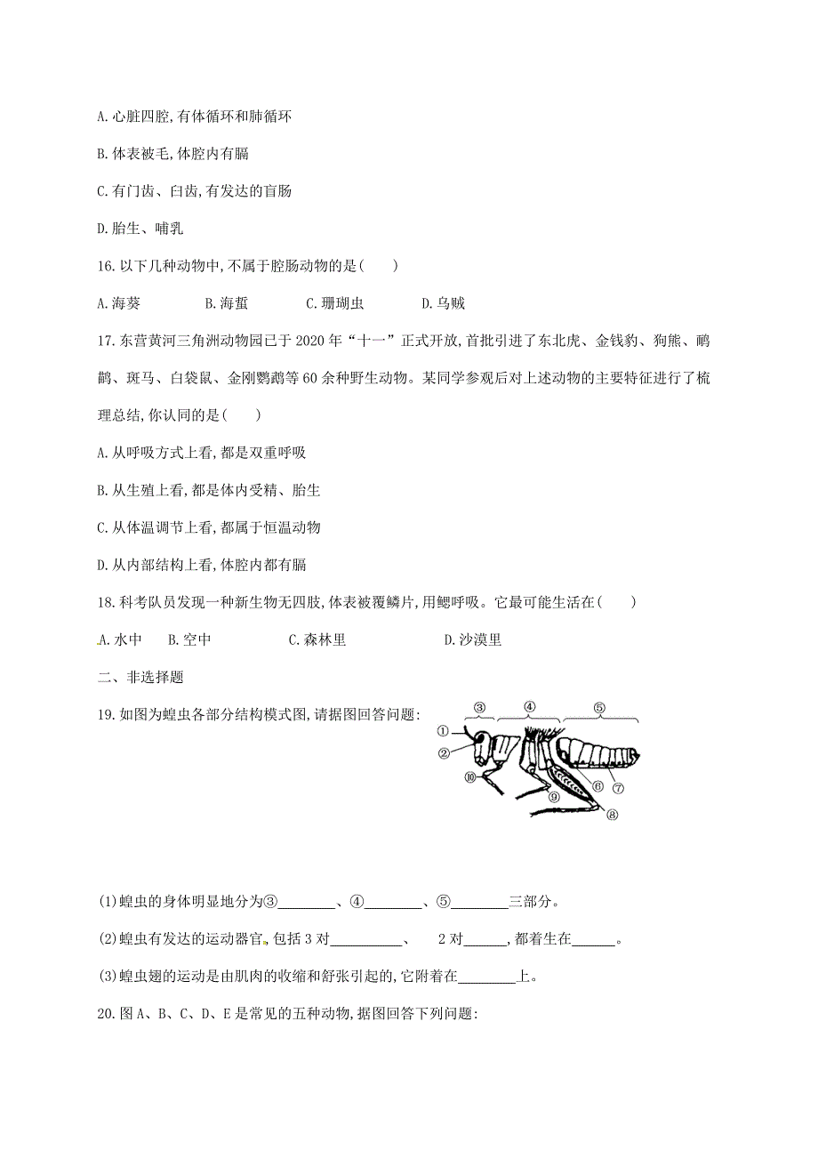 山东省八年级生物上册第5单元第1章动物的主要类群习题无答案新版新人教版_第3页