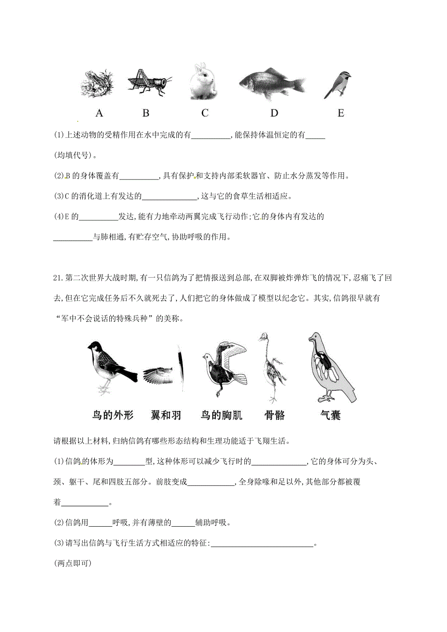 山东省八年级生物上册第5单元第1章动物的主要类群习题无答案新版新人教版_第4页