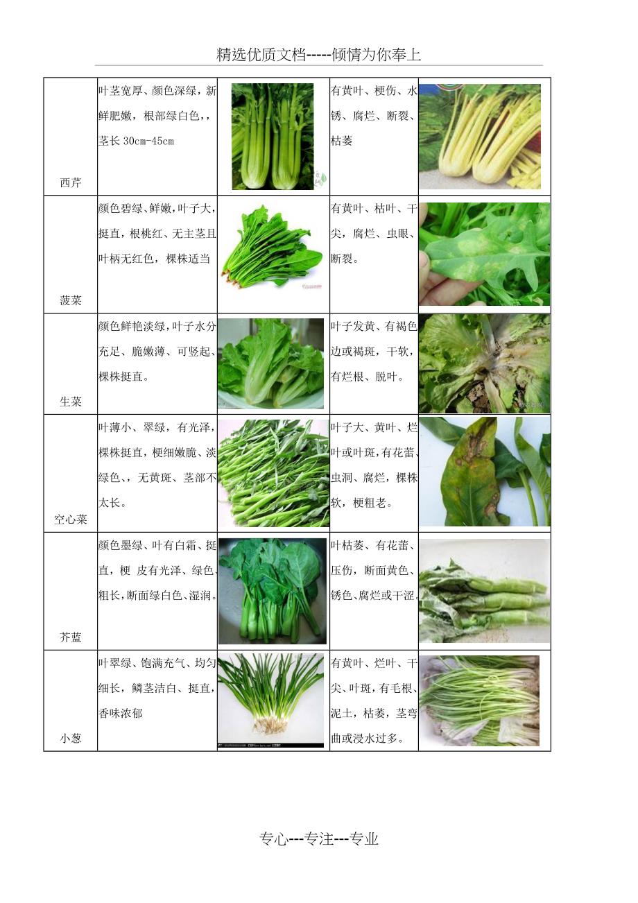 蔬菜验收标准图片版(共11页)_第3页