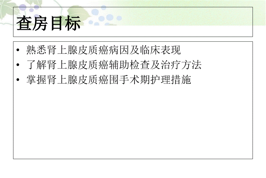 肾上腺皮质癌个案PPT_第2页