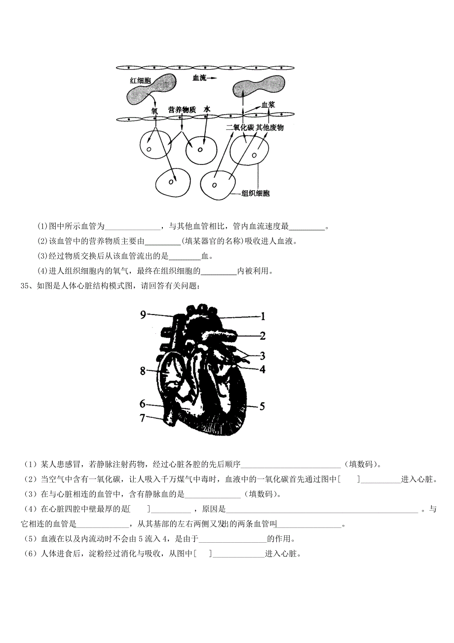 七年级生物下册 第四单元 第四章 人体内物质的运输测试题 新人教版_第4页