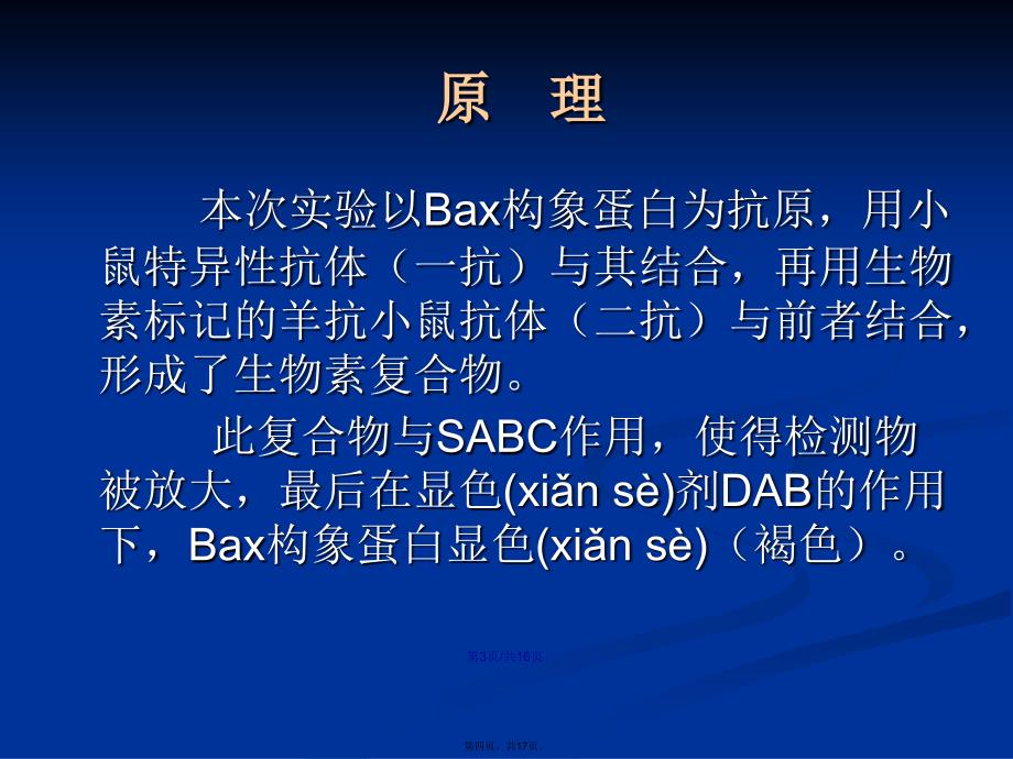 凋亡相关基因Bax在不同细胞中表达产物差异检测学习教案_第4页