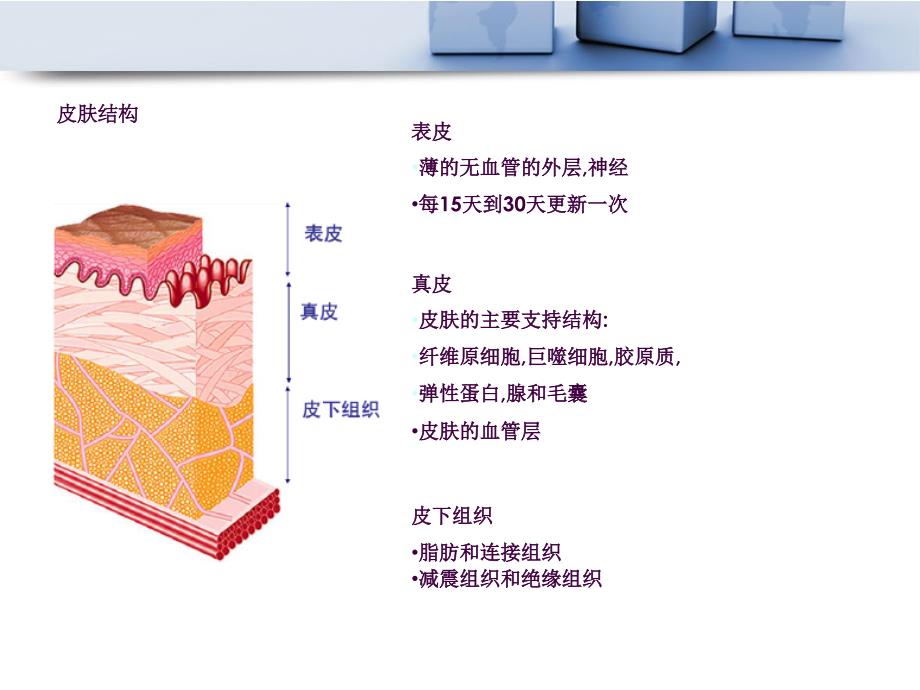 新型敷料临床应用ppt课件_第3页