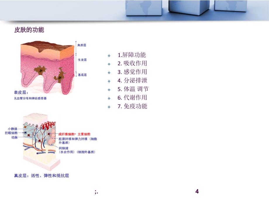 新型敷料临床应用ppt课件_第4页