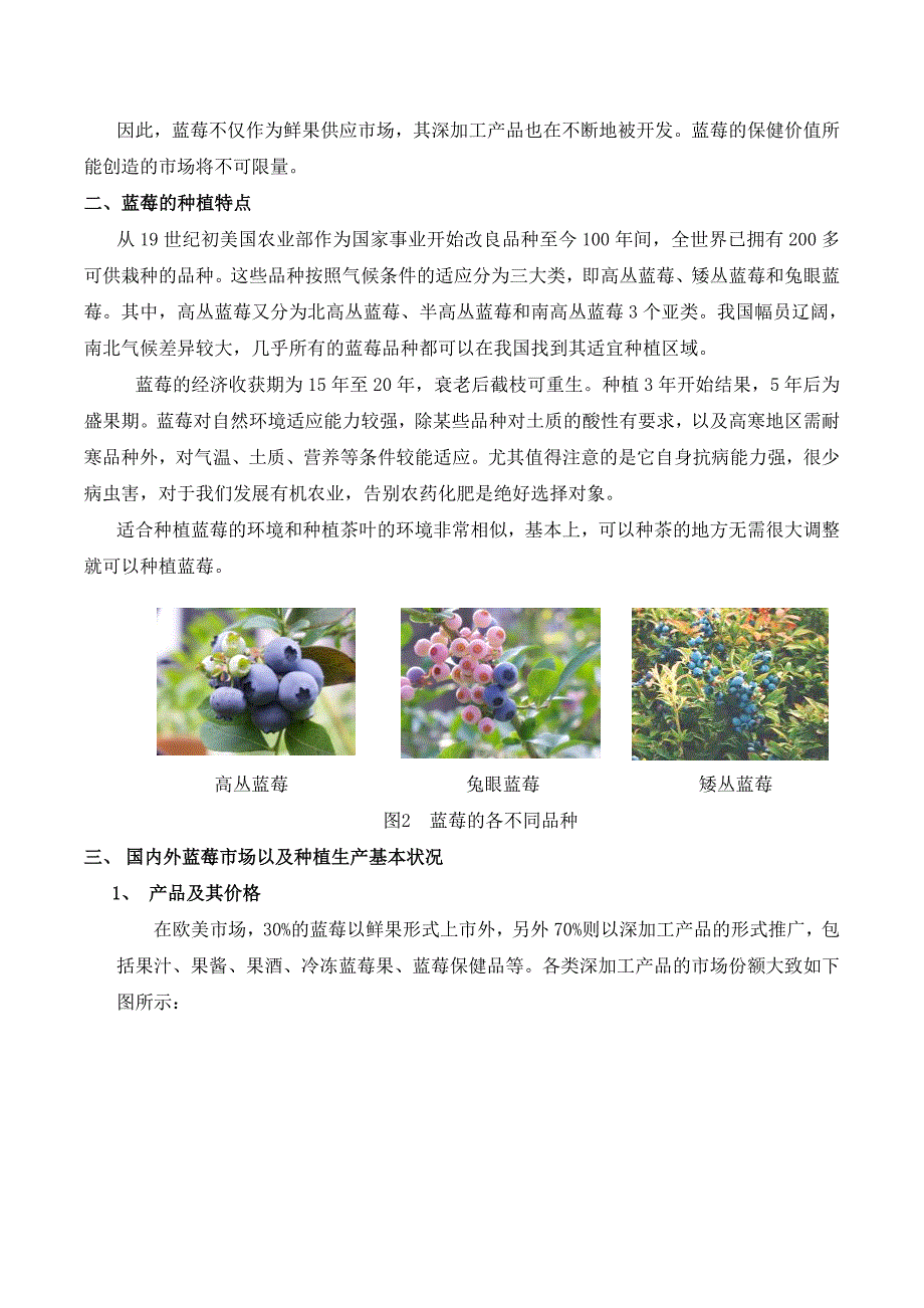 阔丰蓝莓种植园建设项目建议书_第4页