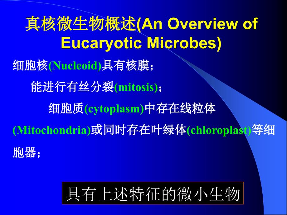 《真核微生物本科》PPT课件.ppt_第2页