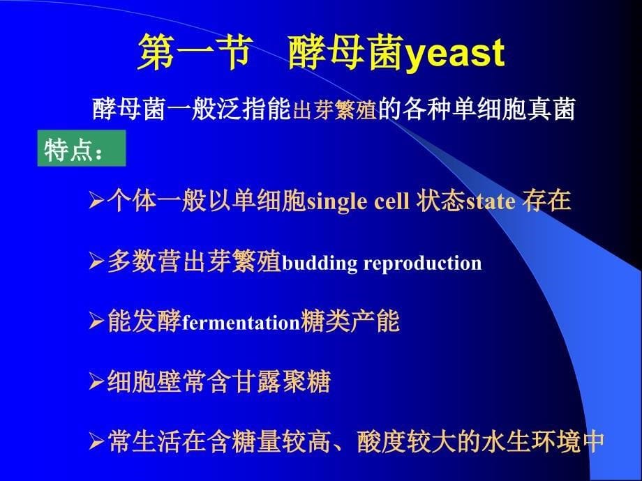 《真核微生物本科》PPT课件.ppt_第5页