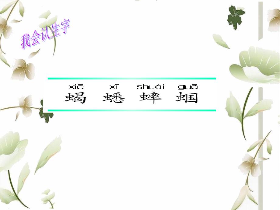 《表里的生物》ppt课件_第4页