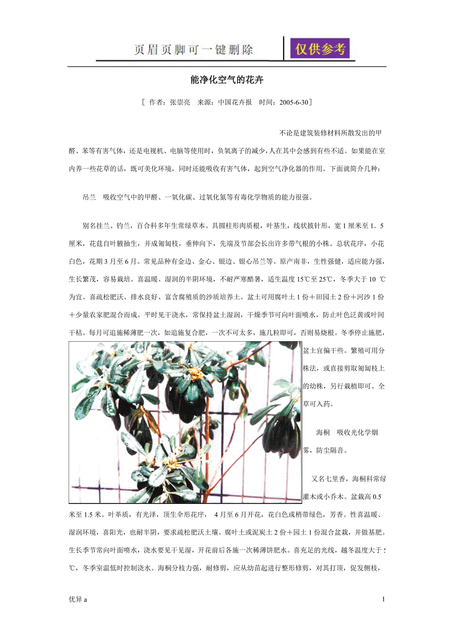 能净化空气的花卉务实运用_第1页