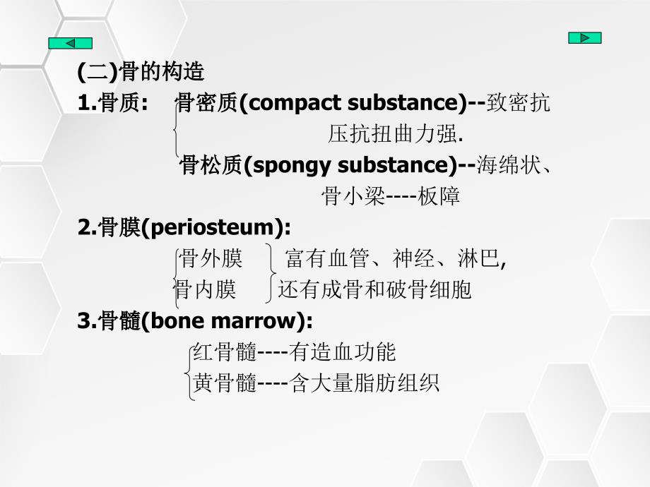 全身骨解剖介绍_第4页