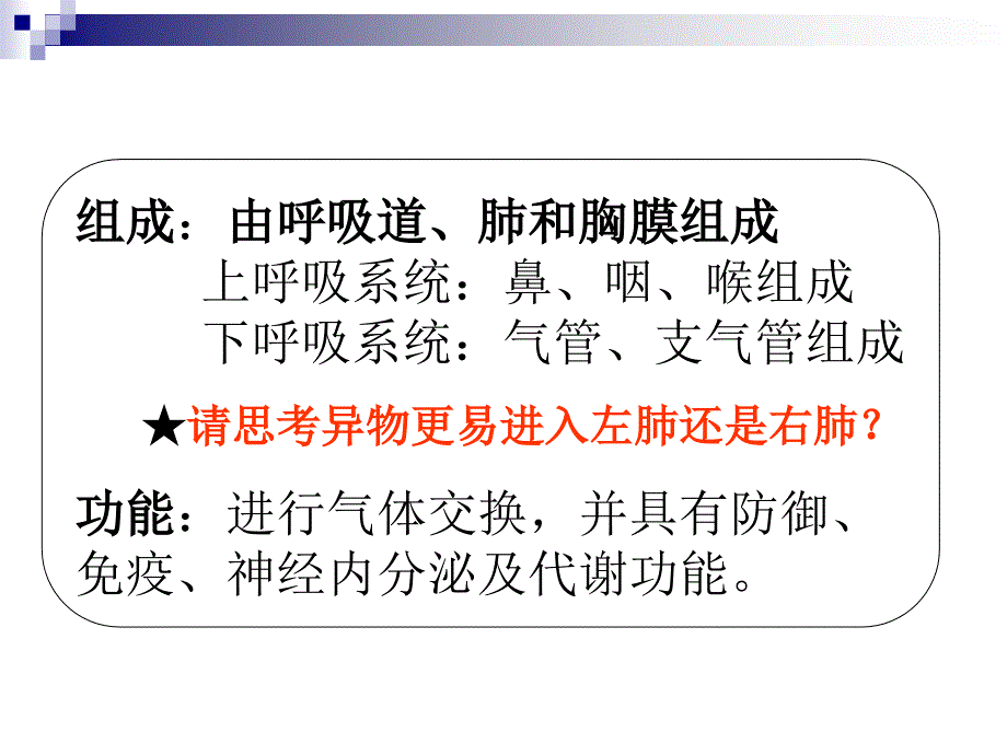 呼吸系统解剖生理课件_第2页