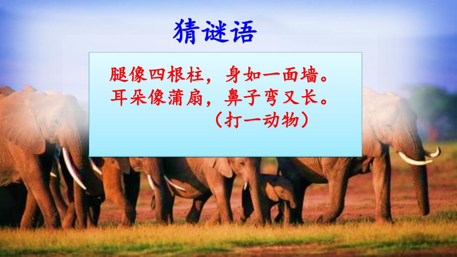 大象的耳朵-人教部编版PPT-优秀课件-_第1页