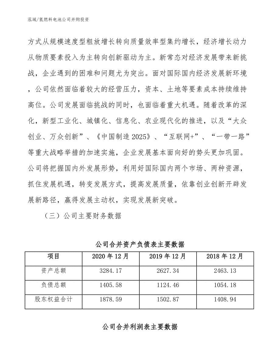 氢燃料电池公司并购投资_第5页