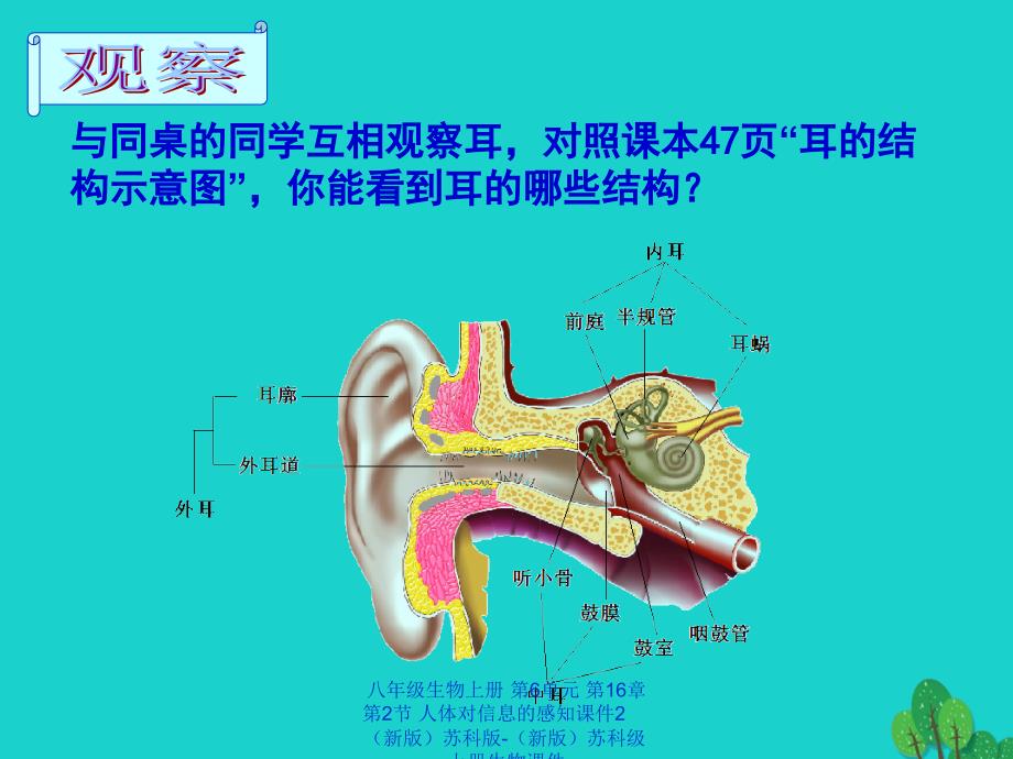 最新八年级生物上册第6单元第16章第2节人体对信息的感知2_第2页