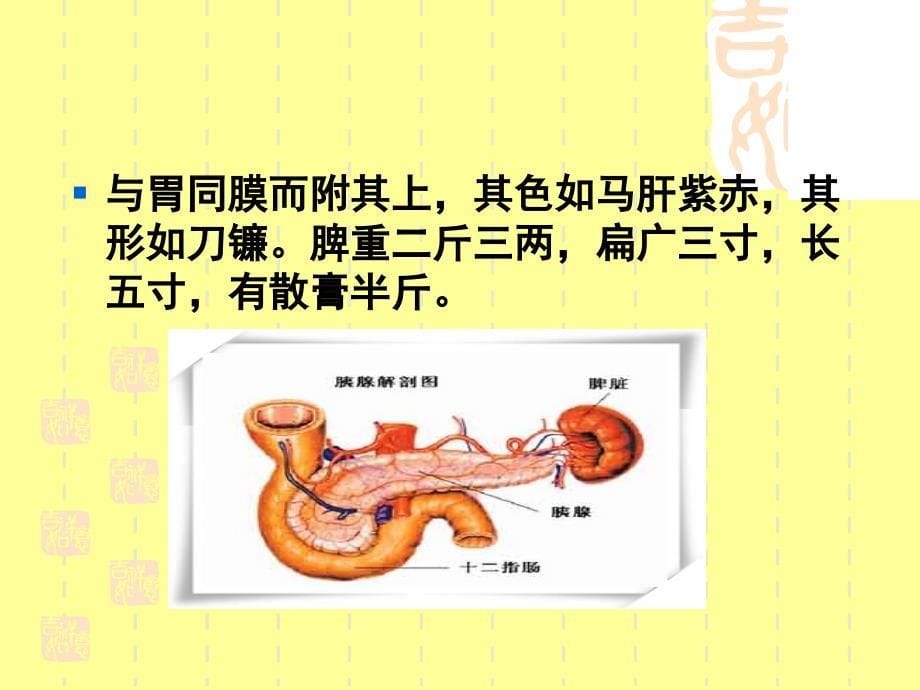 第三章藏象学说脾优质课件_第5页