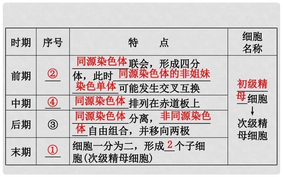 高考生物大一轮复习 高考预测 第四部分 细胞的生命历程 4.2 细胞的减数分裂及受精作用课件_第5页