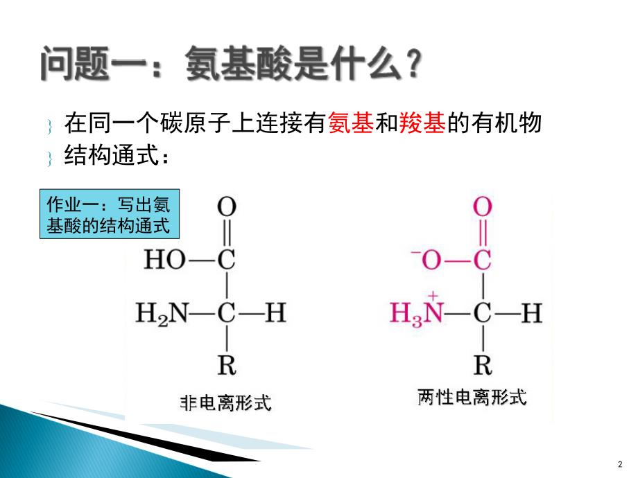 大专生物化学课件新氨基酸的性质和制备_第2页