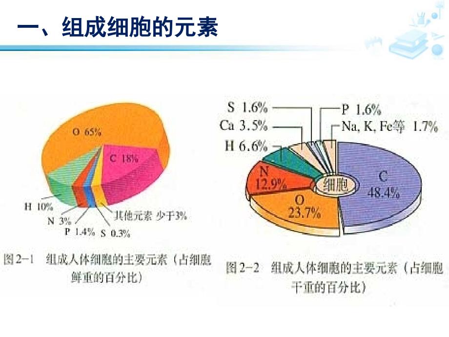 高中生物必修1细胞中的元素和化合物人教版_第2页