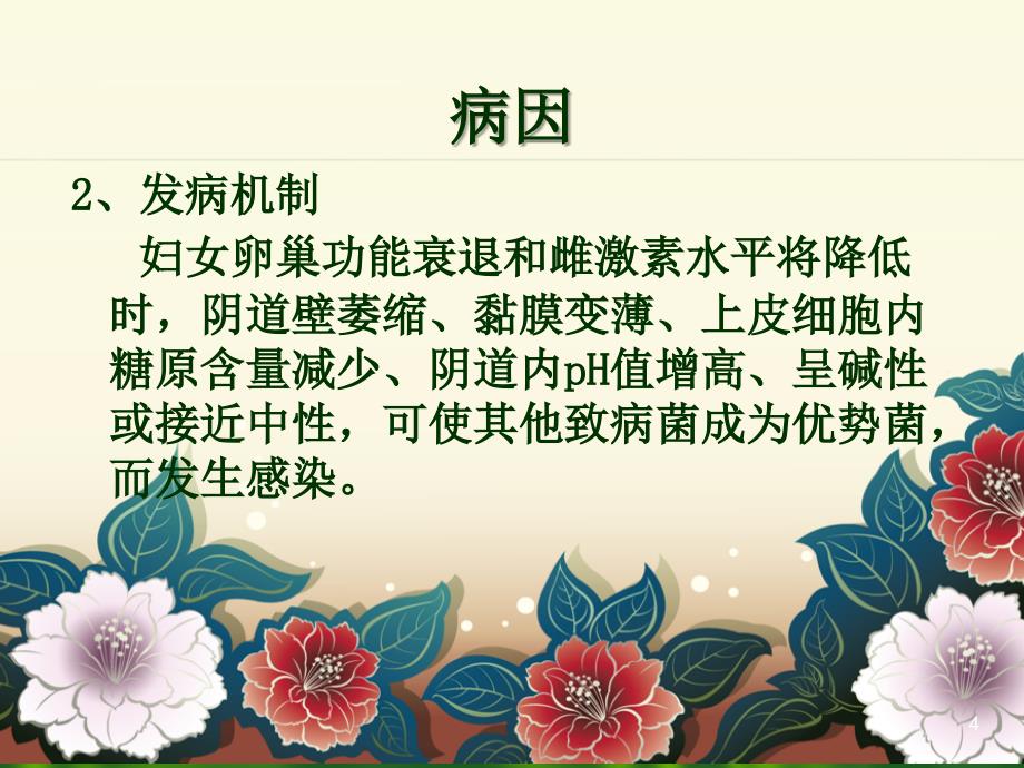 老年性阴道炎ppt课件 (2).ppt_第4页