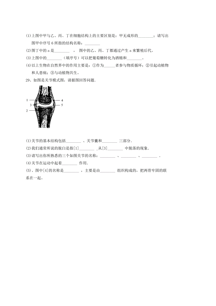 2019版八年级生物上学期期中质量检测试题新人教版.doc_第4页