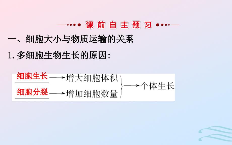 2018-2019学年高中生物 第六章 细胞的生命历程 第一节 细胞的增殖 6.1.1课件 新人教版必修1_第3页