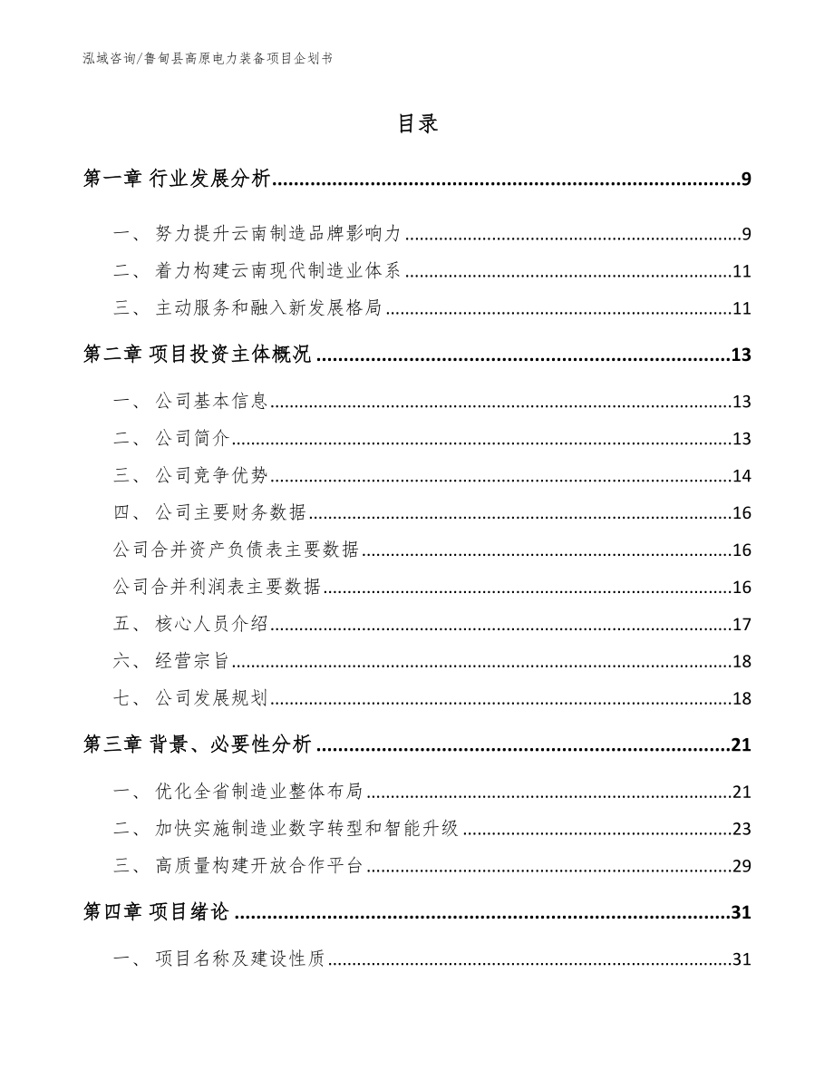 鲁甸县高原电力装备项目企划书（模板参考）_第2页