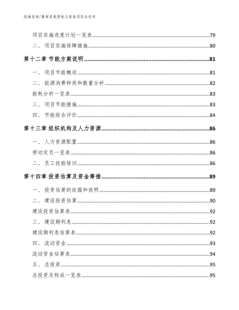 鲁甸县高原电力装备项目企划书（模板参考）_第5页