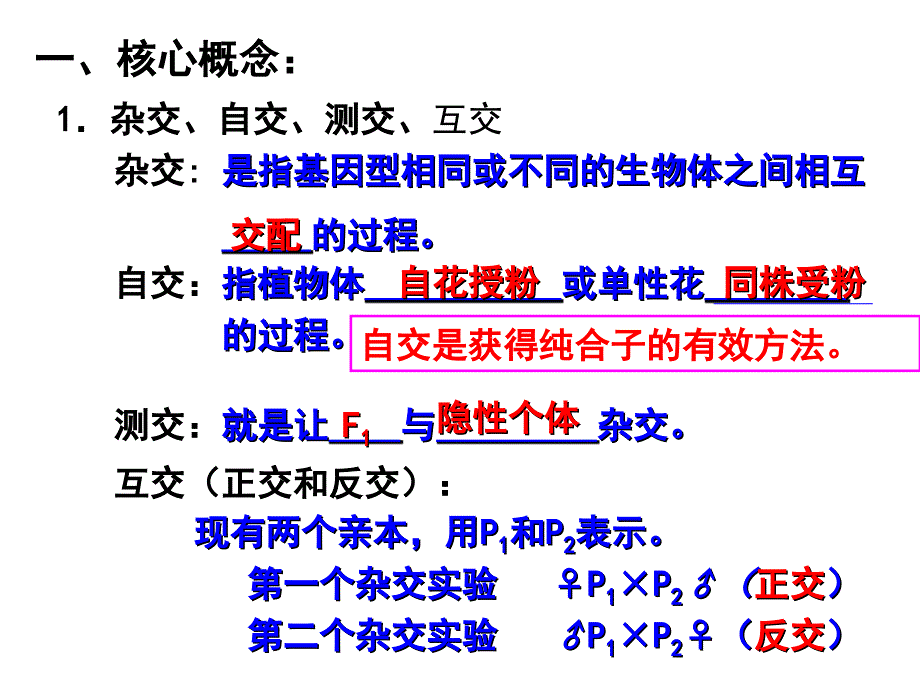 遗传因子的发现第一轮复习精品课件_第2页