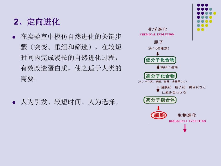 酶的定向催化PPT课件_第3页