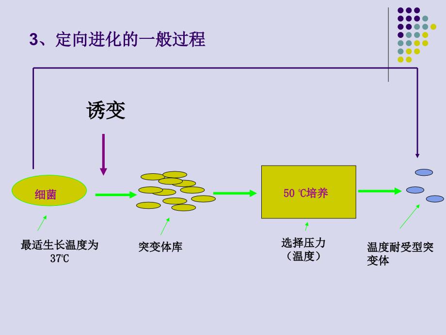 酶的定向催化PPT课件_第4页